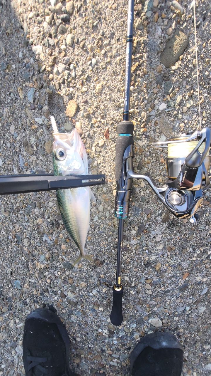 DAIWA 23エメラルダス ストイスト ST（アウトガイドモデル） 73L-Sの最